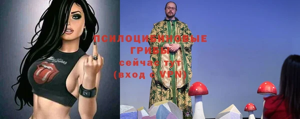 индика Алексеевка