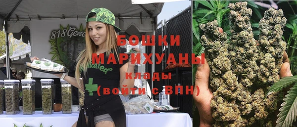 индика Алексеевка