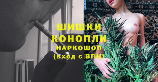 индика Алексеевка