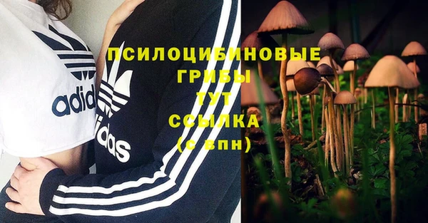 прущая мука Алзамай