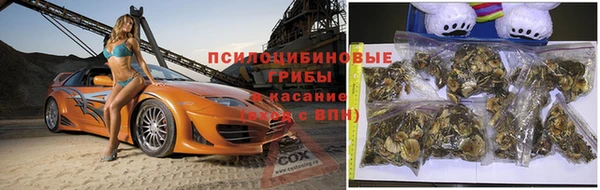 герыч Алексин