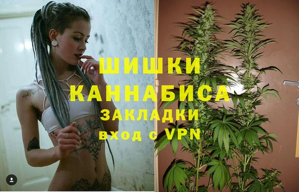 индика Алексеевка